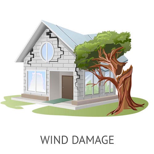 Wind Damage Insurance Claims Adjuster Florida